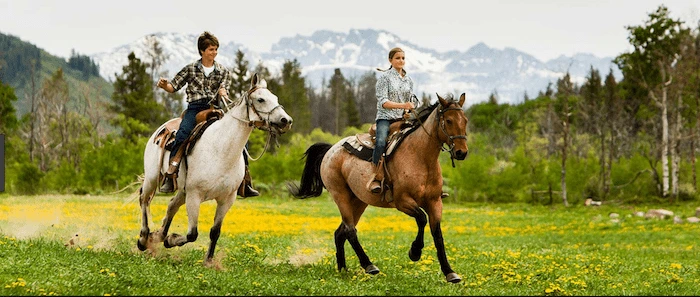 Confident plus-size woman riding Wiltshire a horse through a field with a smile on her face.